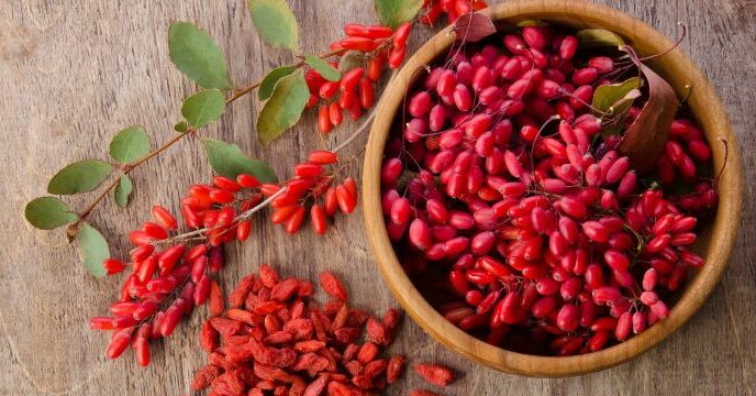 Goji bogyó 0,5kg Premium